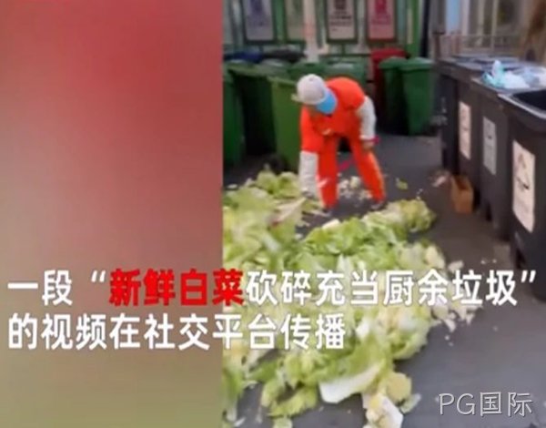 PG国际环保丨科普篇：一堆白菜引发的思考